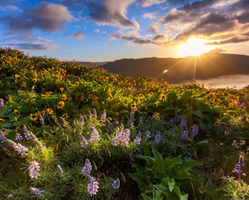 4 Mid-Week Bus Trips to Relax & Unwind