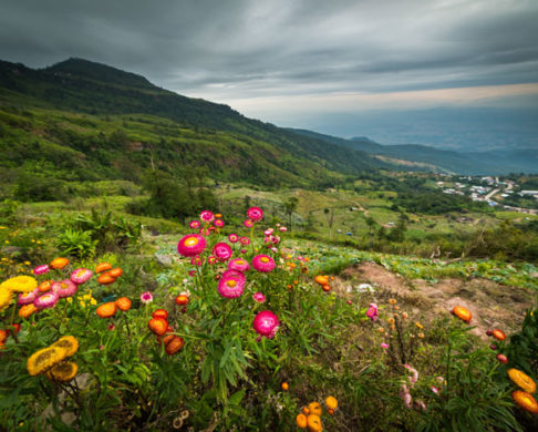 Road Tripping in the South: Where to Go on Your Bus Trip