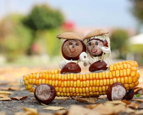 5 Essential Bus Travel Tips for Thanksgiving