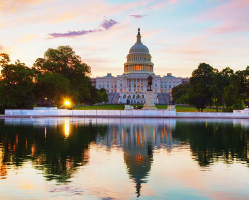 Best Places to Visit in the US for Families With Kids